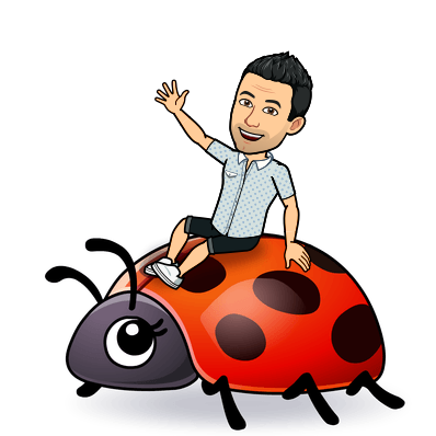 riding a ladybug