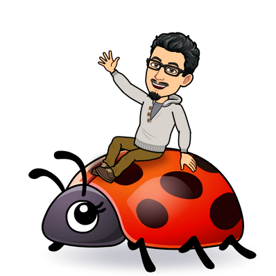 riding a ladybug